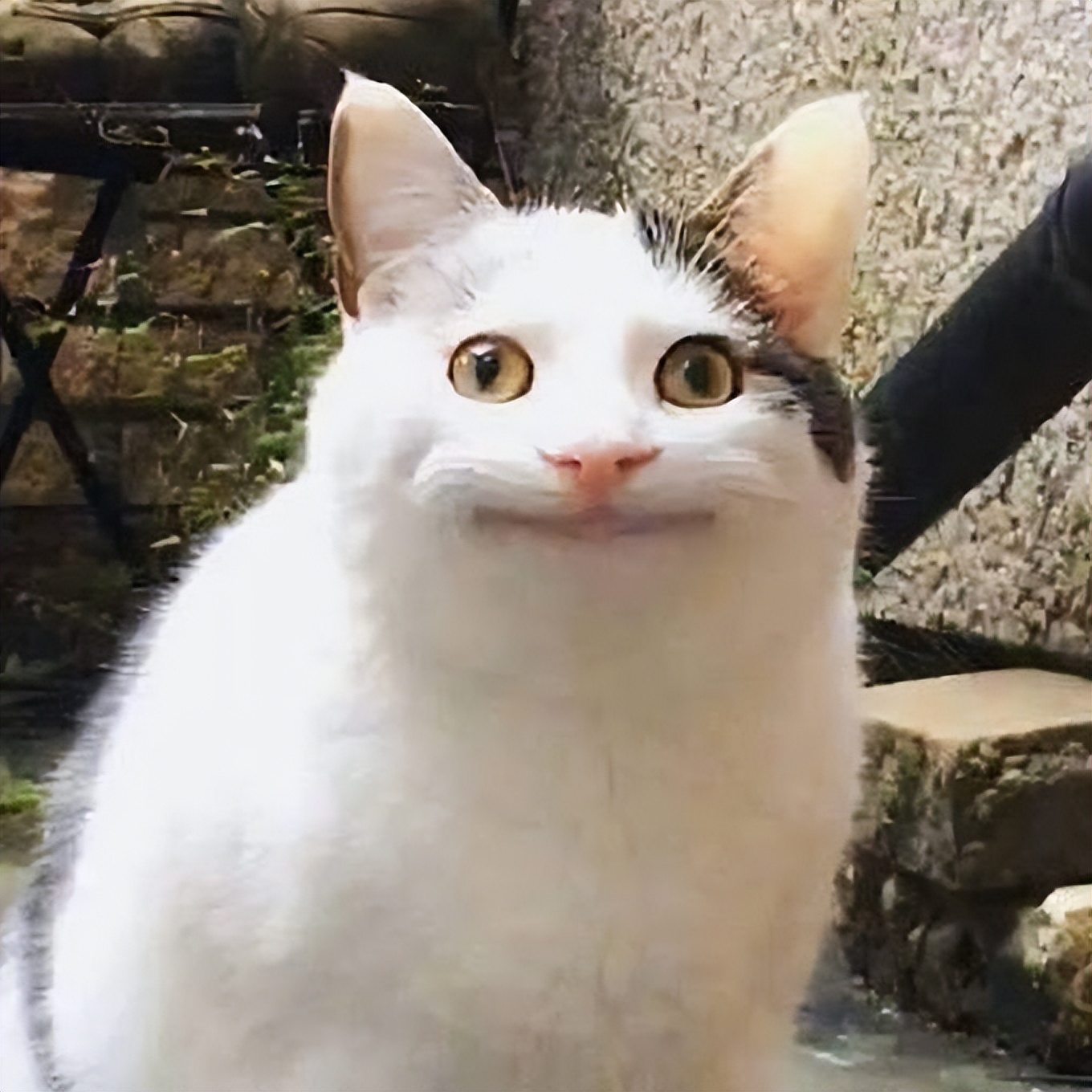 厦门必备药品,厦门医用中药煎药机