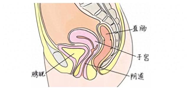 同绘美丽画卷共享生态福祉