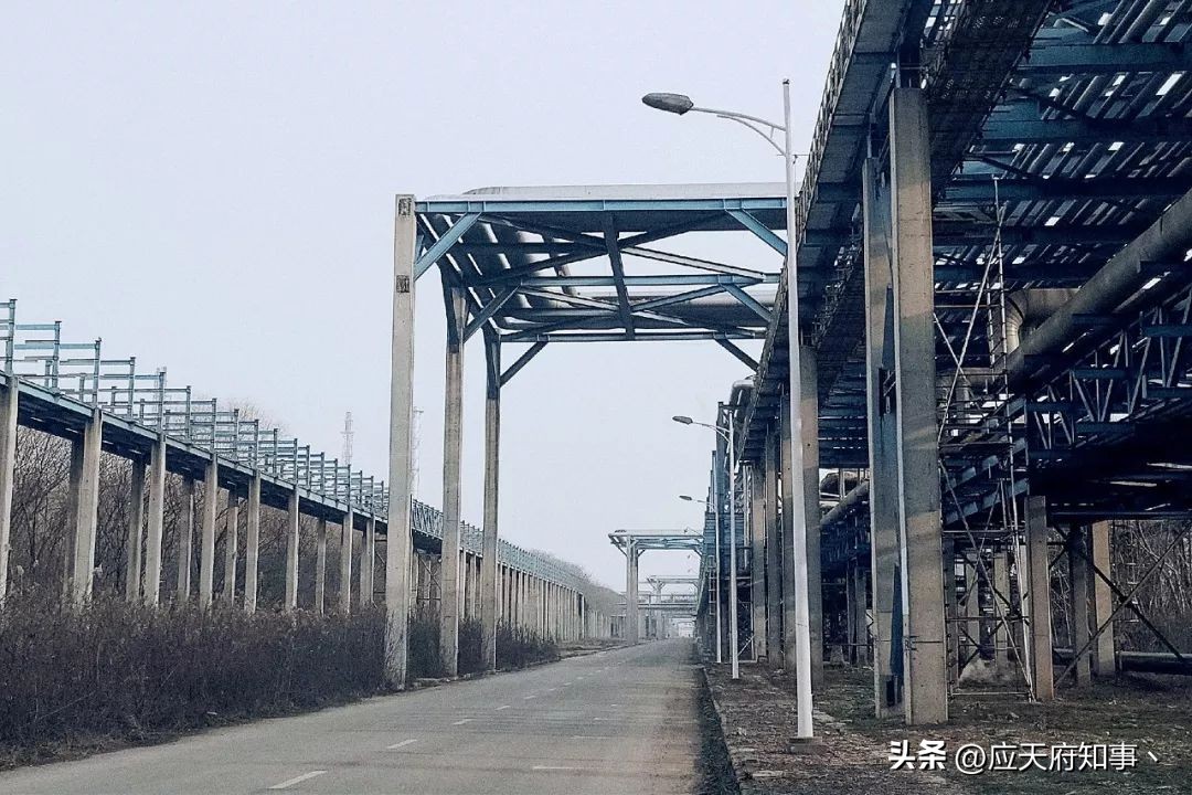 来南京不能错过的小众打卡地,南京江宁小众打卡点