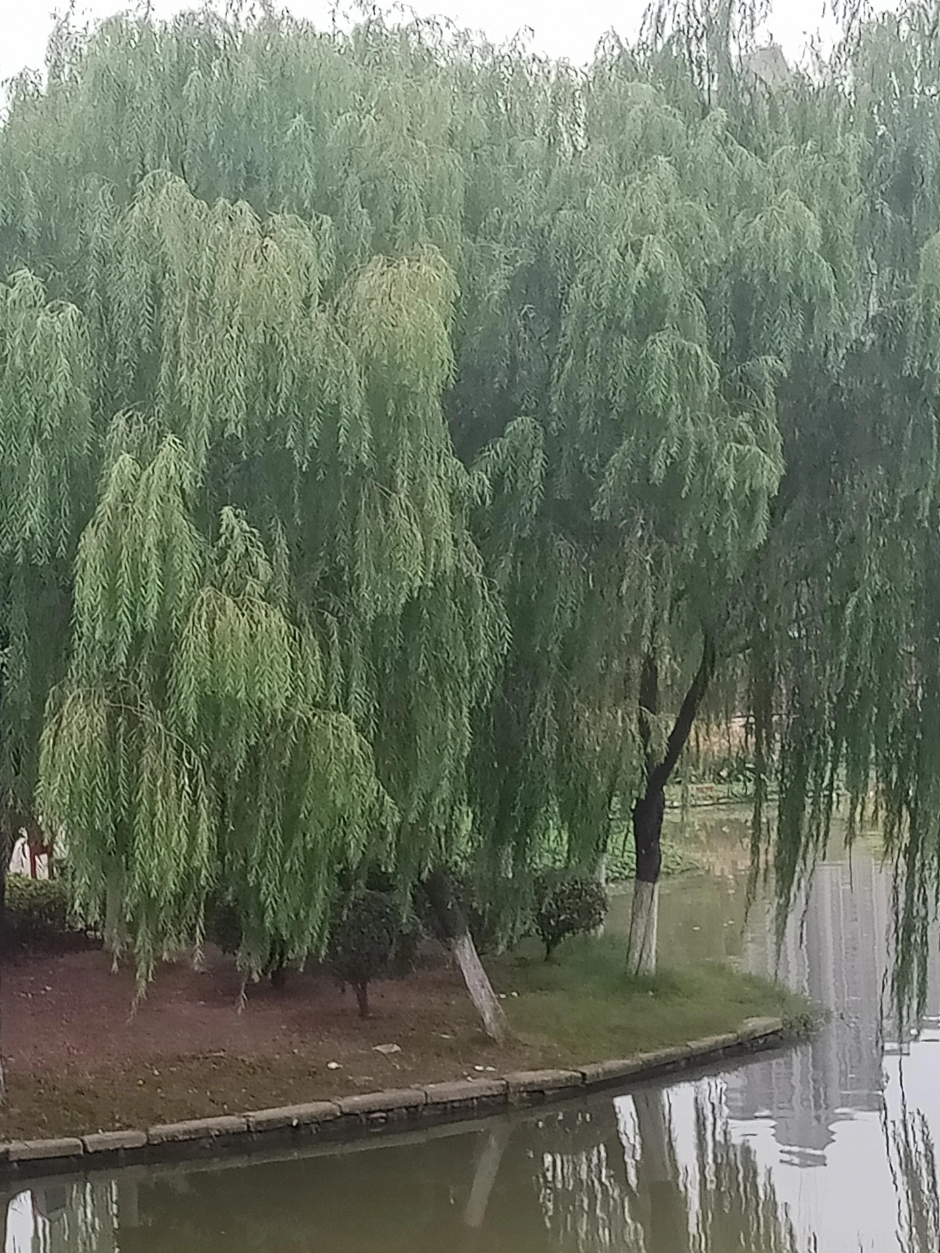 顾太健最新文章,顾太健视频