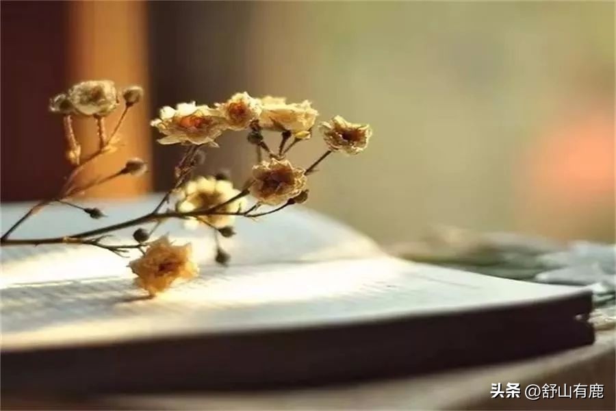 最命苦的五种人,这5种人未来会越来越穷有你吗