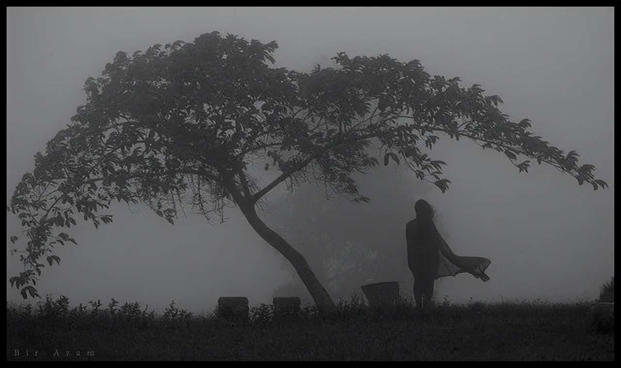 知言合一教育怎么样,知言合一学习插画怎么样
