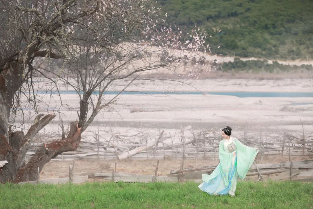 立春诗词愿山河无恙人间皆安,七绝立春的诗词