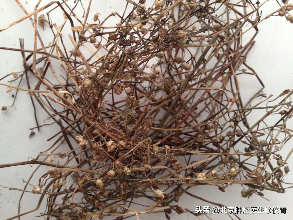 利水的中药治疗胃癌的药方,胃癌术后有哪些扶正中药