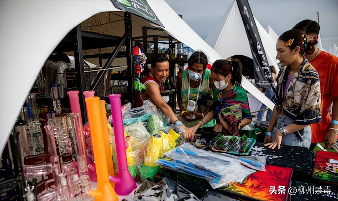 泰国现在大麻合法化旅游安全吗,泰国旅游大麻合法化如何规避