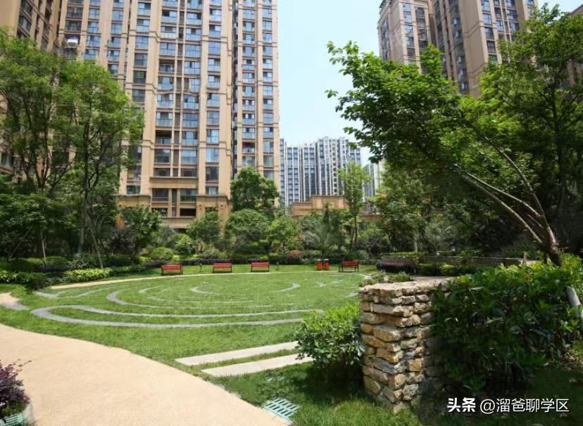 草堂子美,草堂子美怎么样