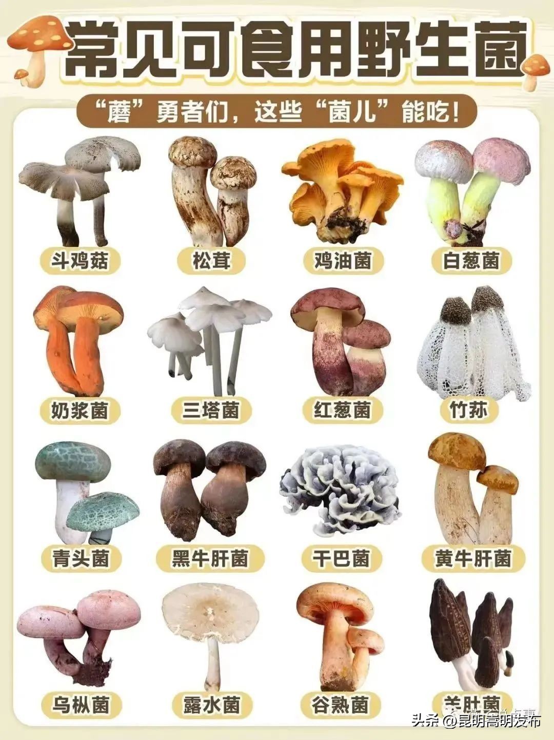 孩子开车撞人去自首,儿子开车撞人最后自首