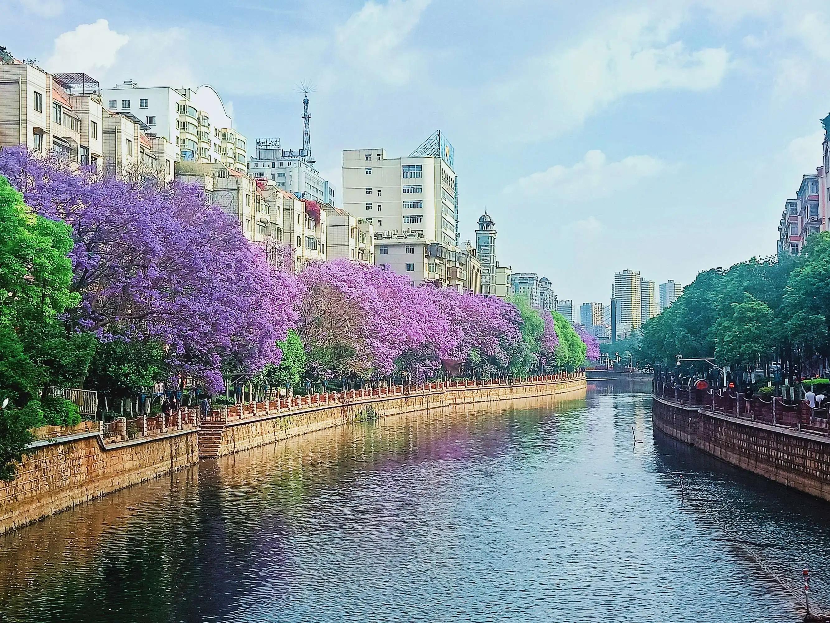 云南昆明旅游攻略自由行攻略,云南旅游自由行攻略昆明大理丽江