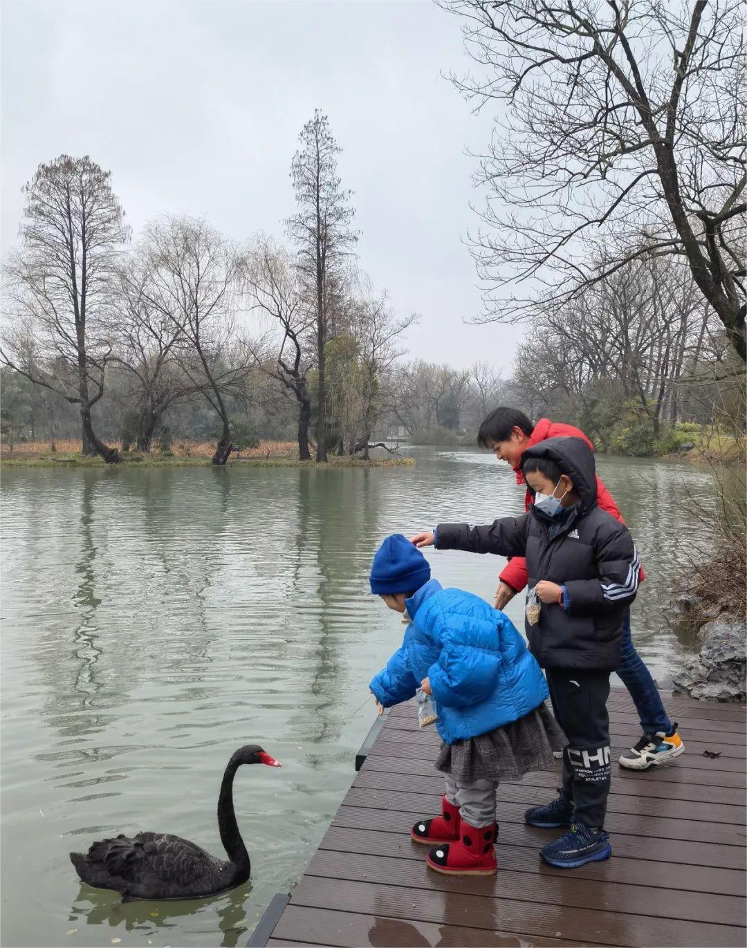 睡过这家国宾馆的新楼，我们全家都愁了……