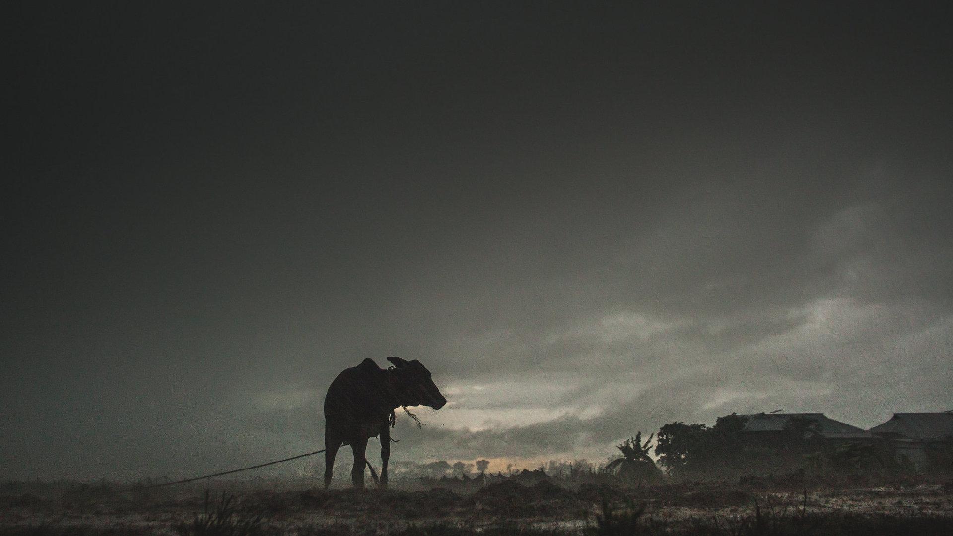 学习笔记2022-8-17