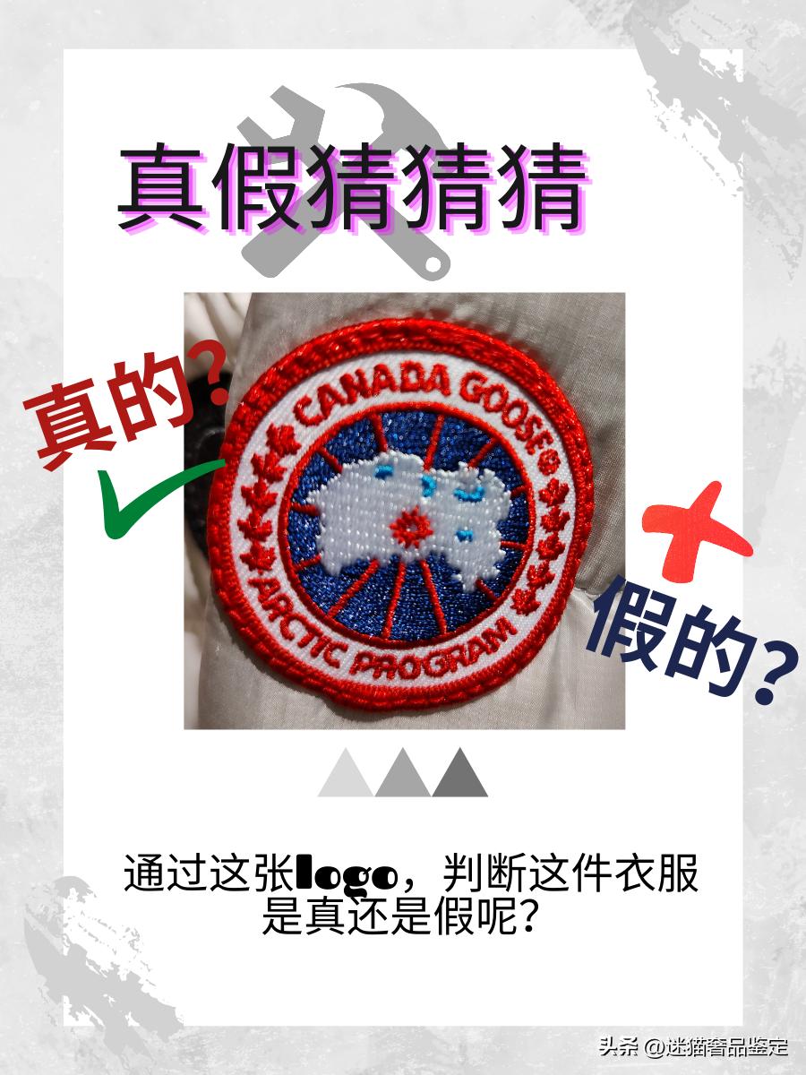识别加拿大大鹅真假,加拿大鹅看镭射标辨真假