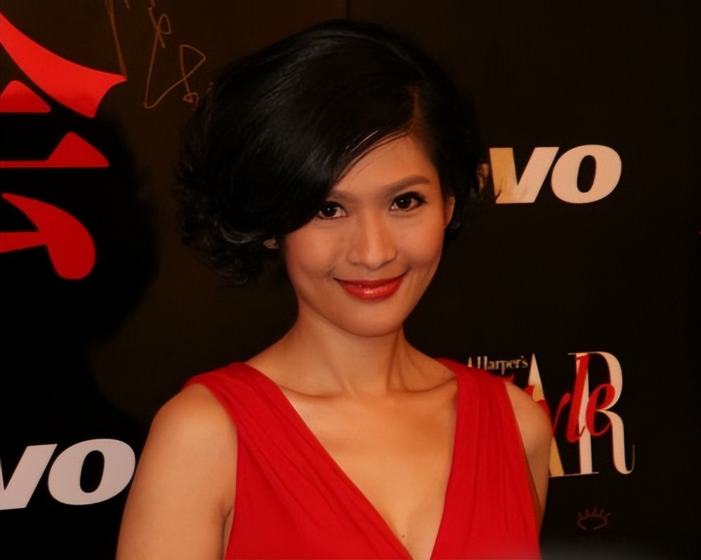 出轨整容医院院长,出轨整容医生转移丈夫22亿资产