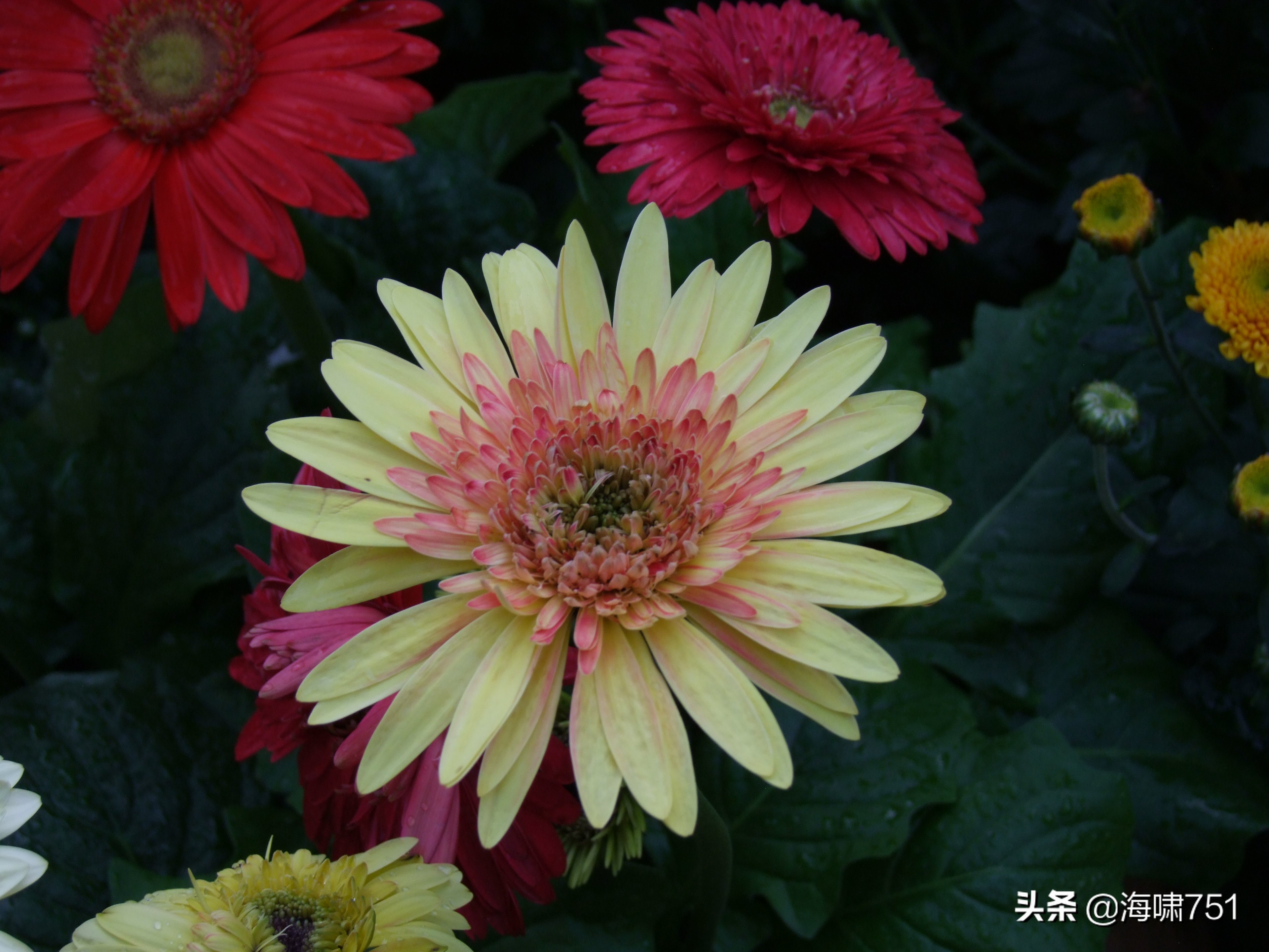 黄花岗公园开放时间,黄花岗公园停车