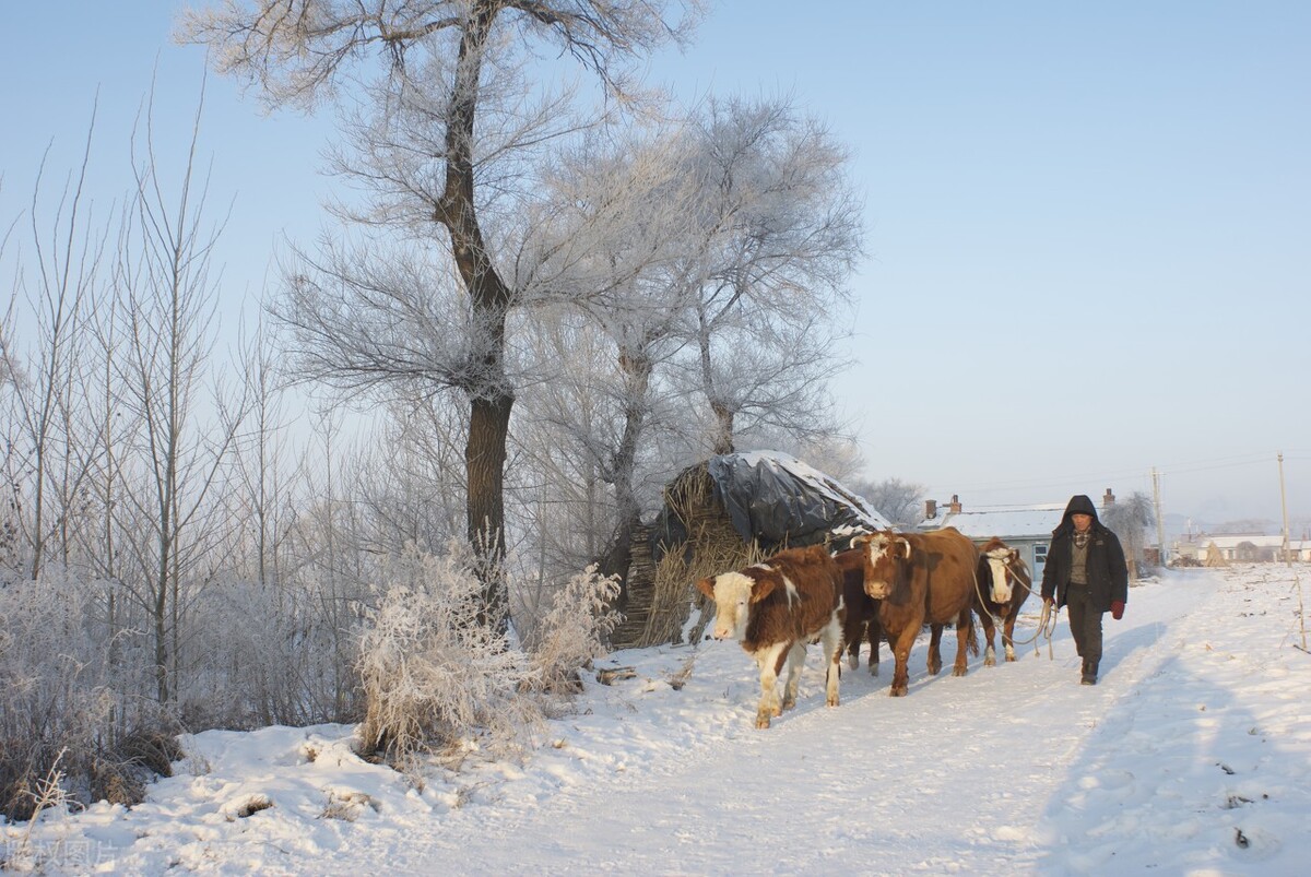 东北新婚夫妻和全家人睡炕,东北全家都睡一个土炕上