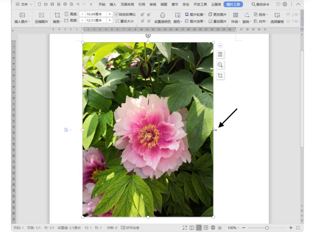 wpsexcel100个常用技巧,wps表格100个常用技巧视频自学网