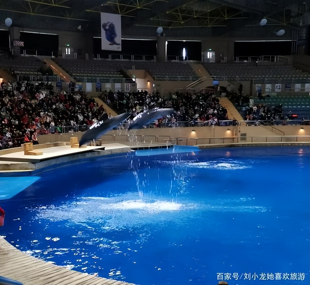 北京适合带孩子去的海洋馆,北京海洋馆亲子游