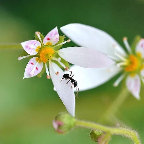 范志毅谈中国足球的希望,范志毅感慨中国足球现状