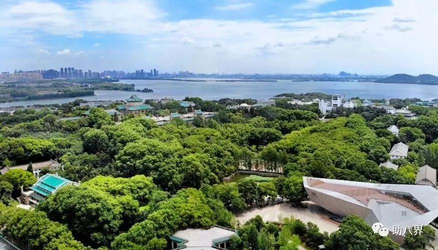 武汉十大旅游景点排名,武汉江夏网红打卡景点大全