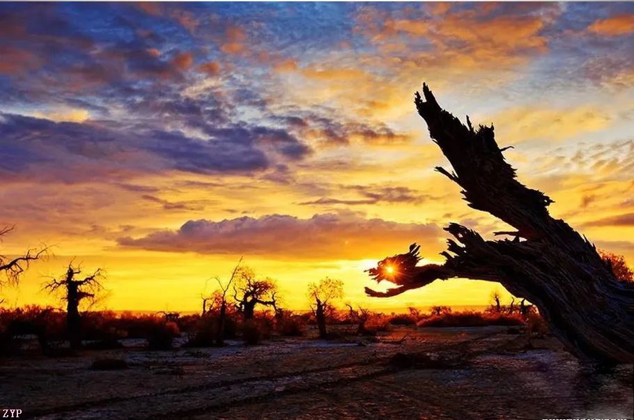 最美中国年摄影作品,大美中国全国摄影大赛