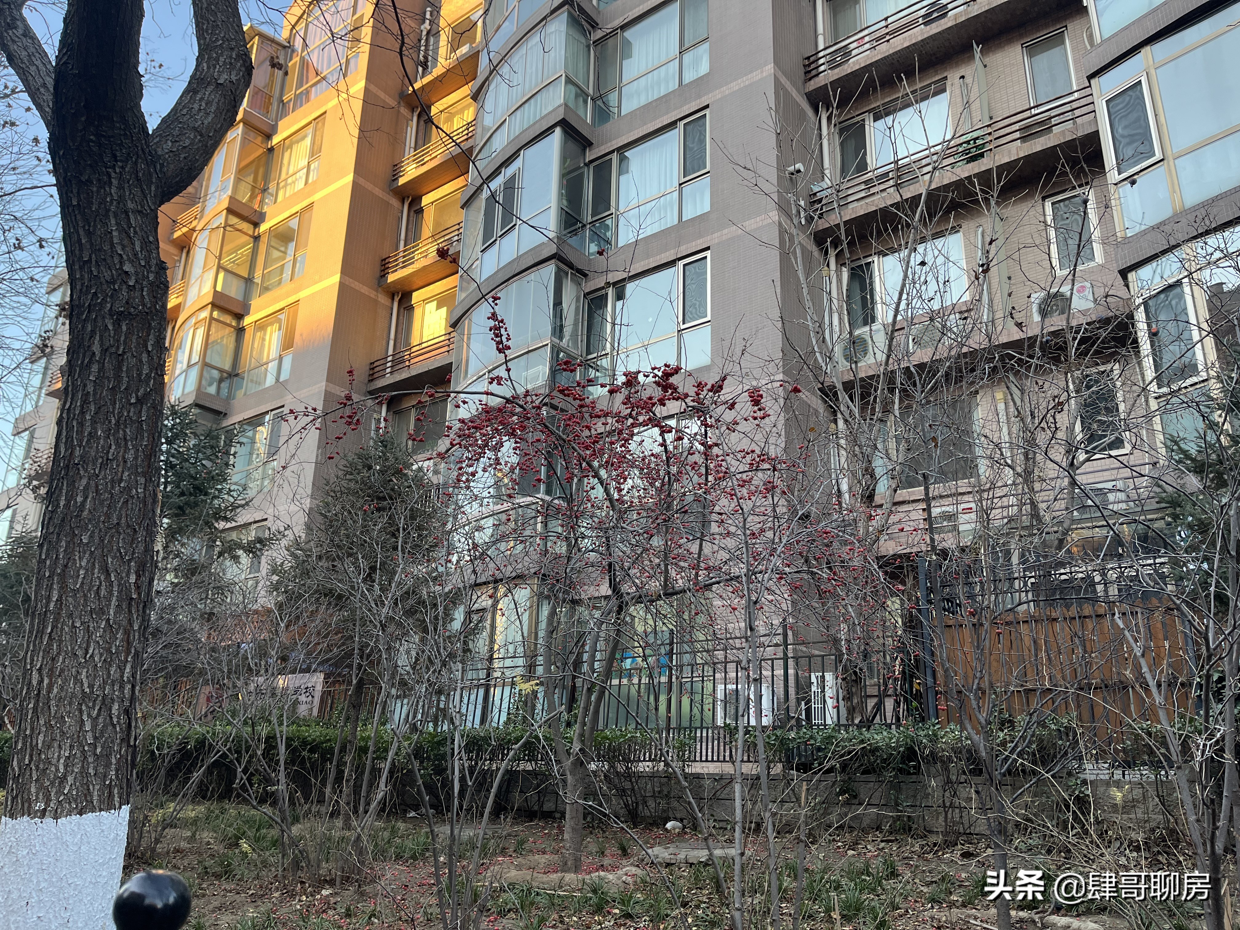 大西洋新城碎尸案,大西洋新城小区