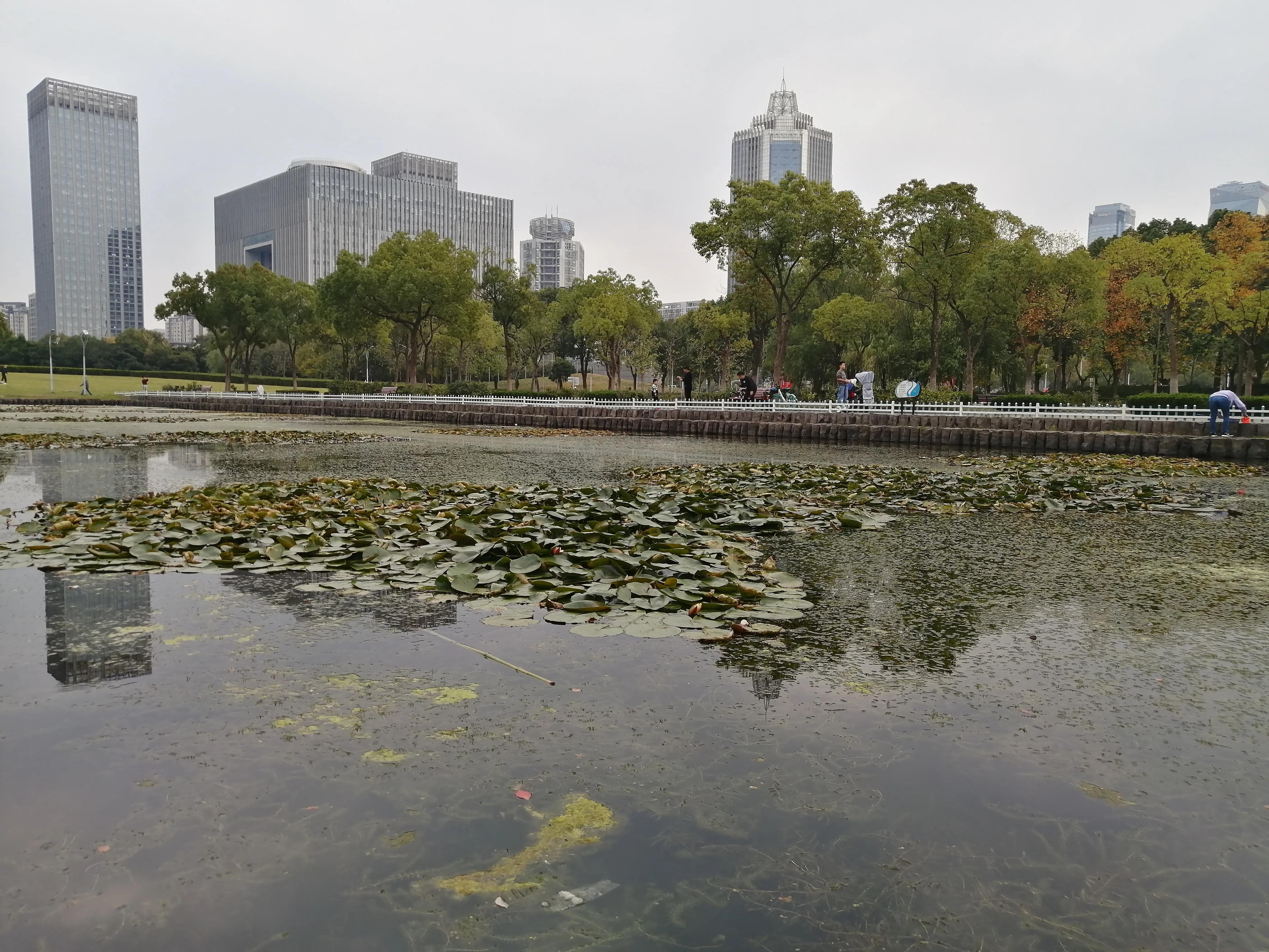 欢乐的海洋歌曲原唱,这里将成为欢乐的海洋