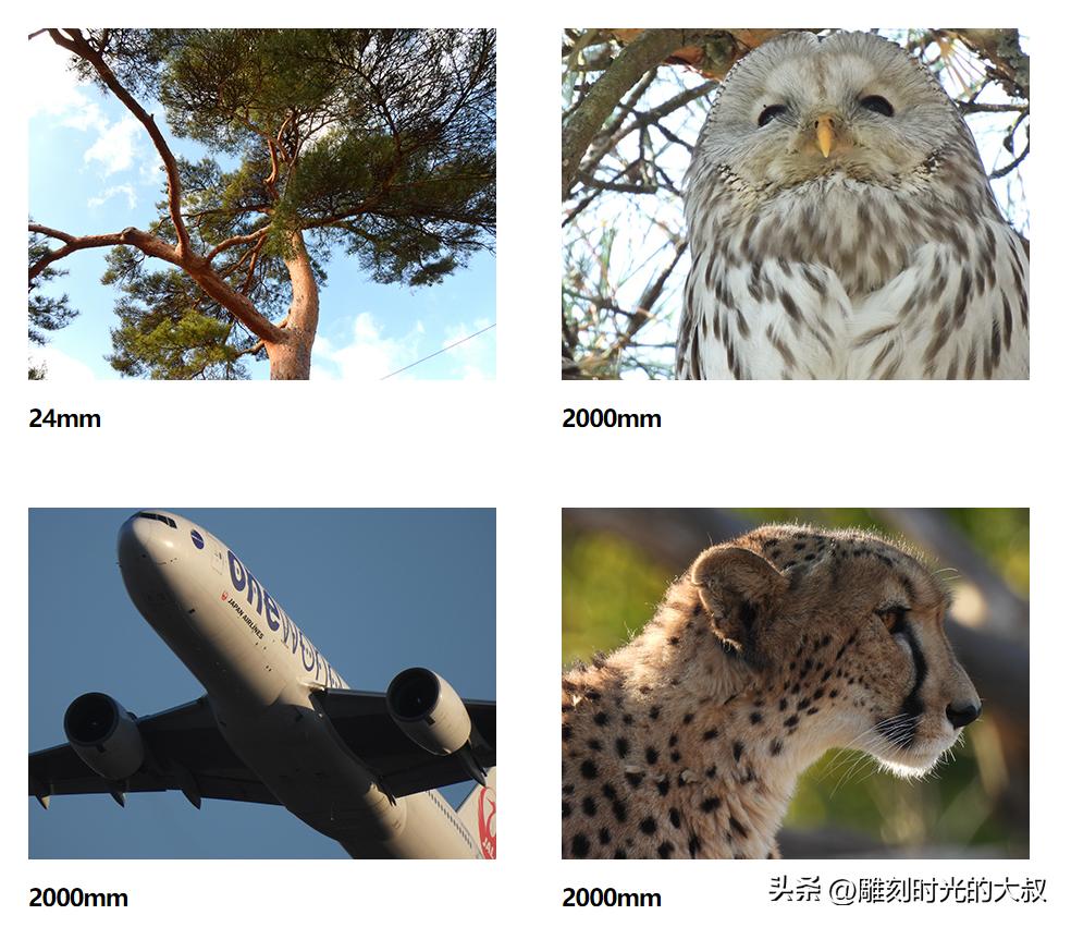 2022年6月哪款相机最值得入手,2022最值得购买的长焦相机