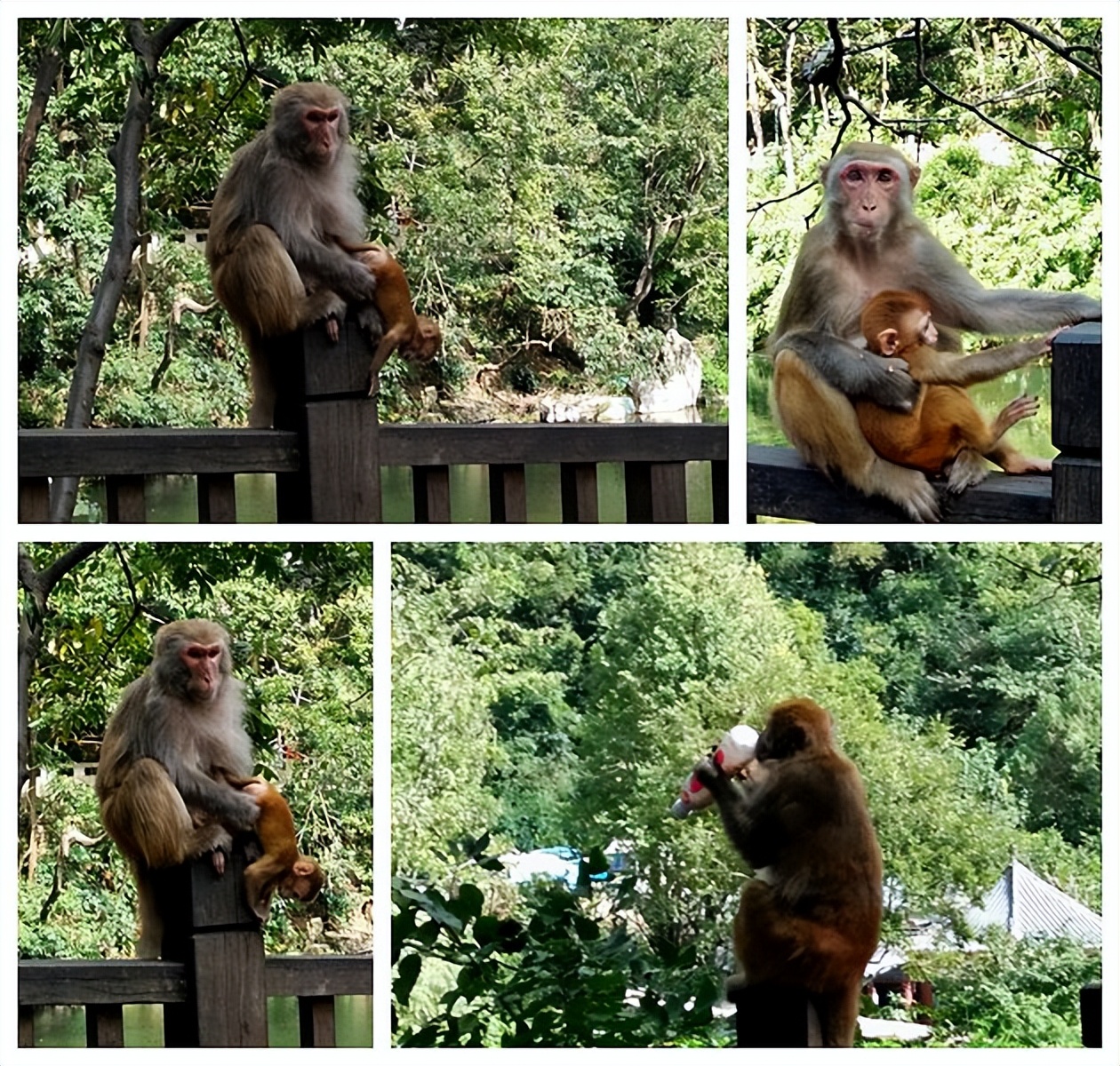贵阳多彩贵州位置,贵阳多彩贵州城风景区