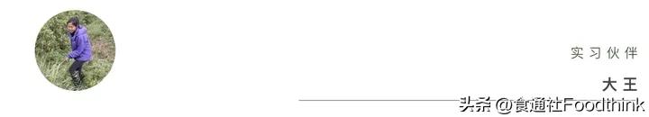 21个年轻人踏上了chatGPT也想象不到的旅程