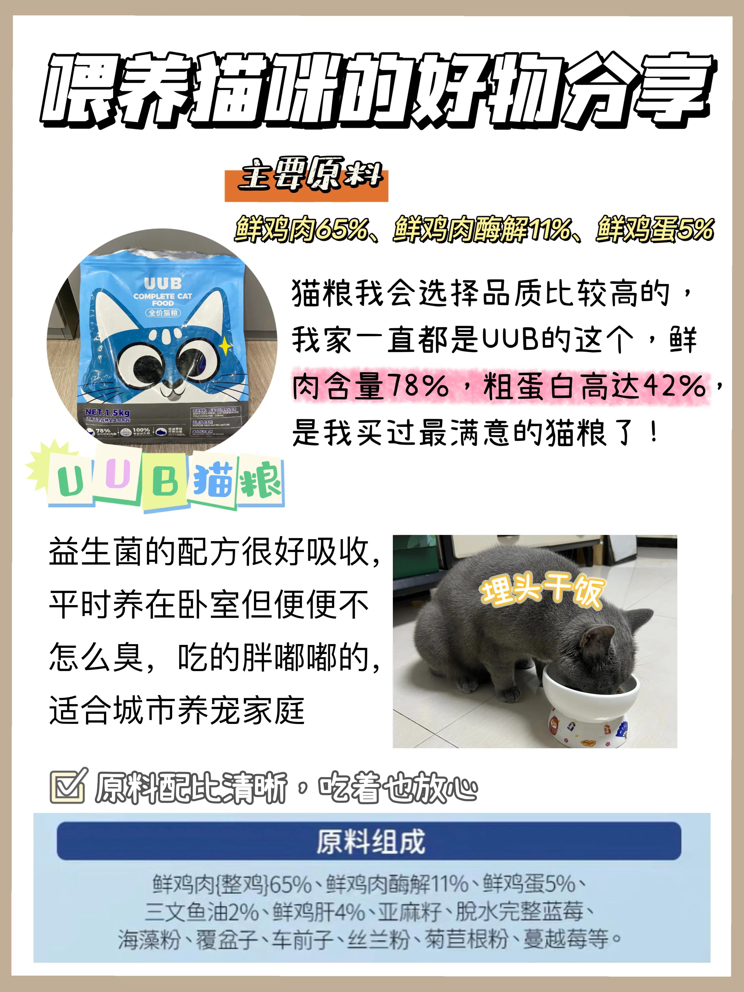 租房养猫除猫毛,猫居家养要驱虫吗