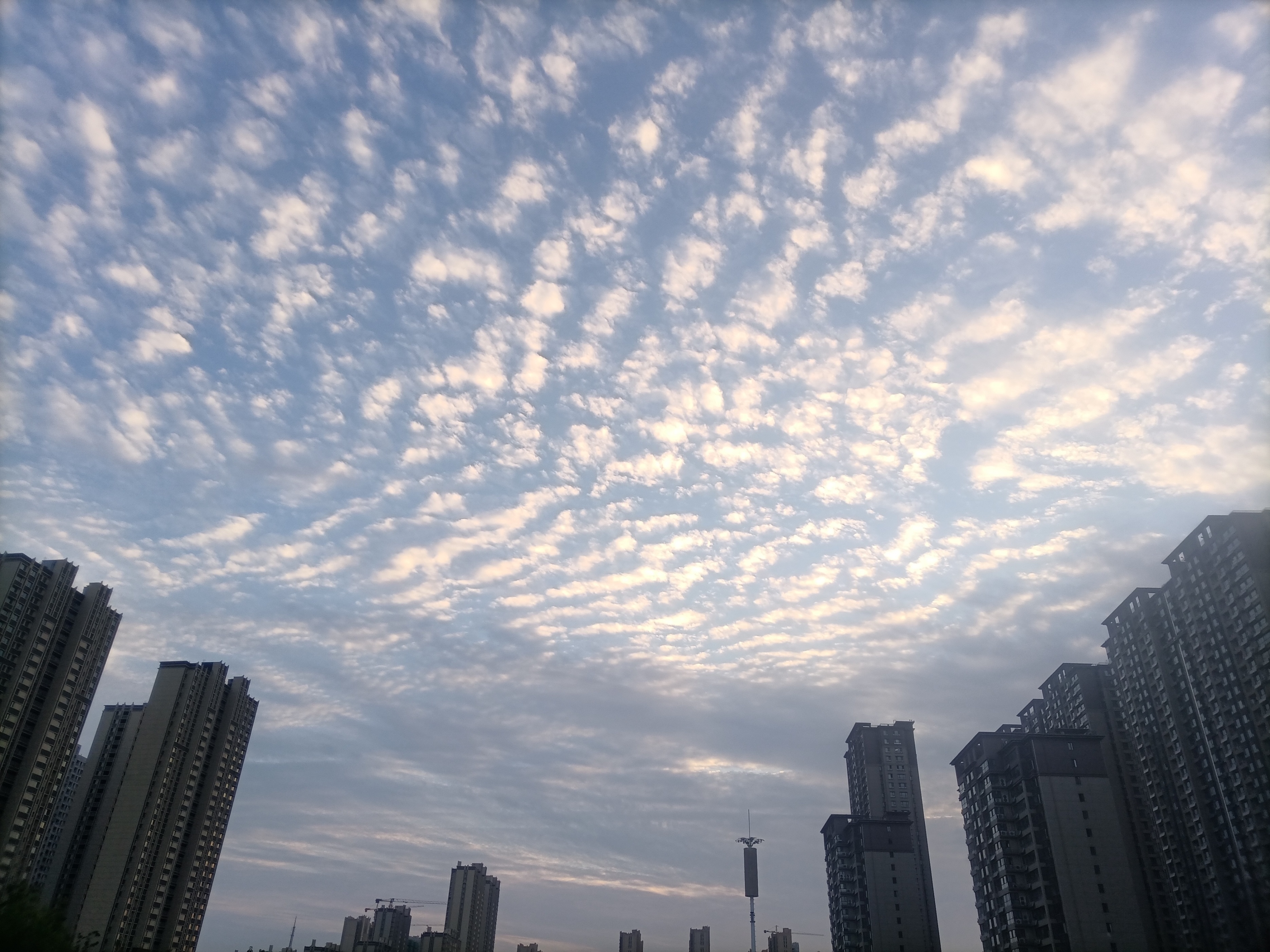 菏泽：你知道“天空鲤鱼斑，明天晒谷不用翻”的意思吗？