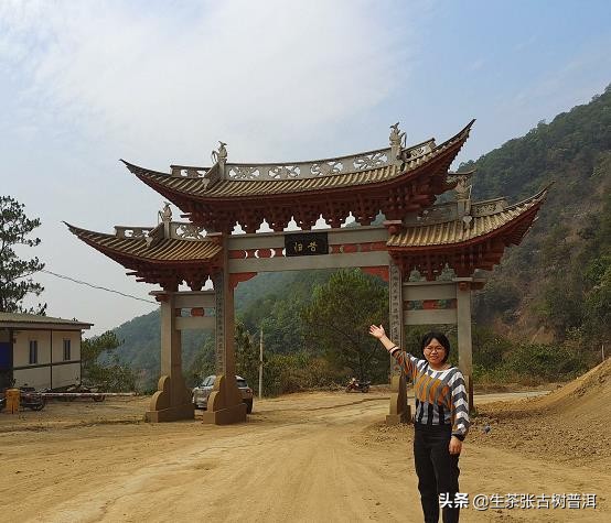 普洱茶哪座山头最好,普洱茶著名茶区