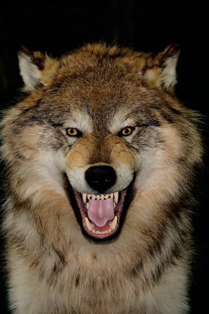 泡妞秘籍:17个让你成为情场高手的秘诀，满级幽默搞笑。