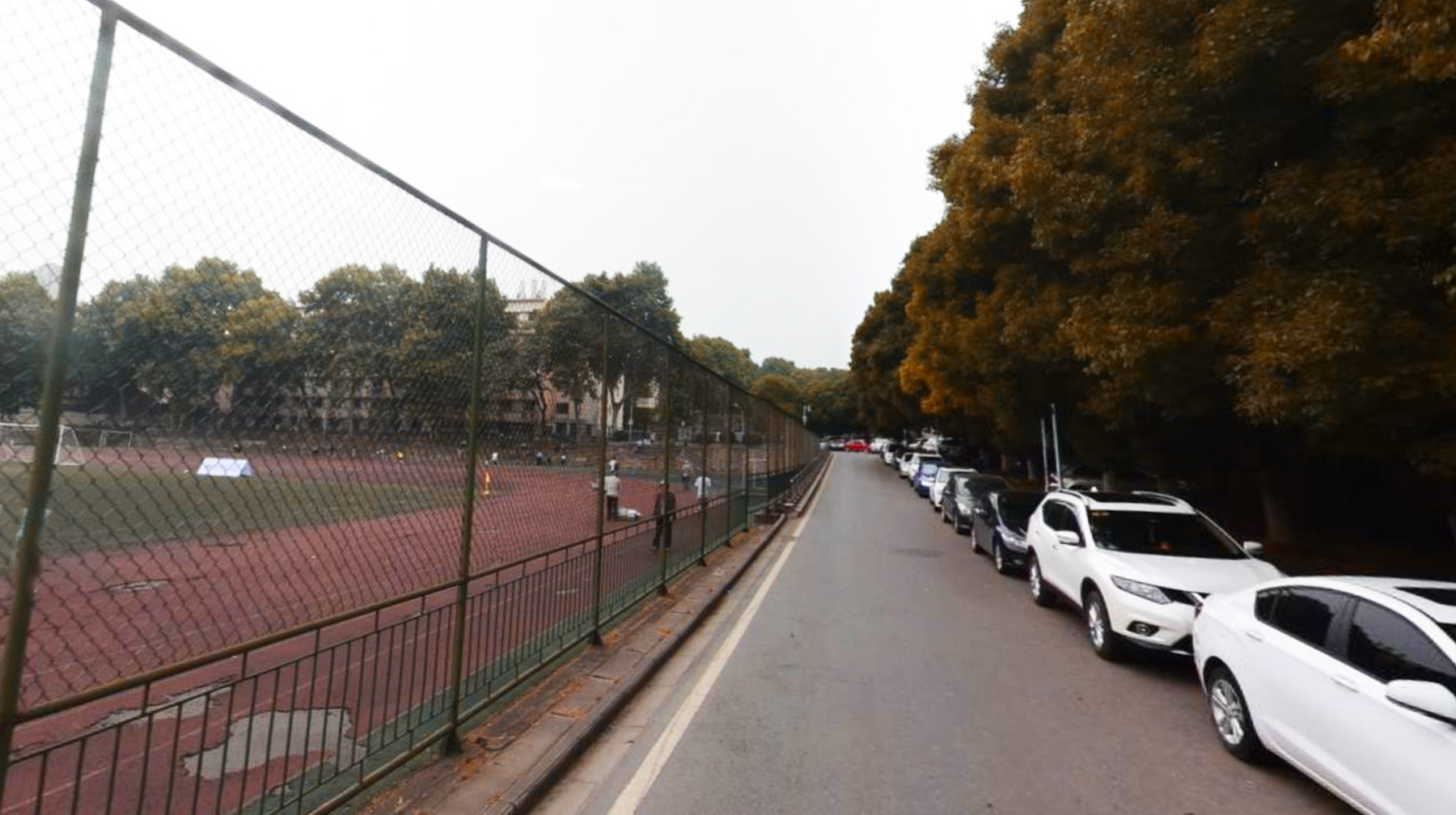 武汉城市学院梧桐树,武汉被高校环绕的景区