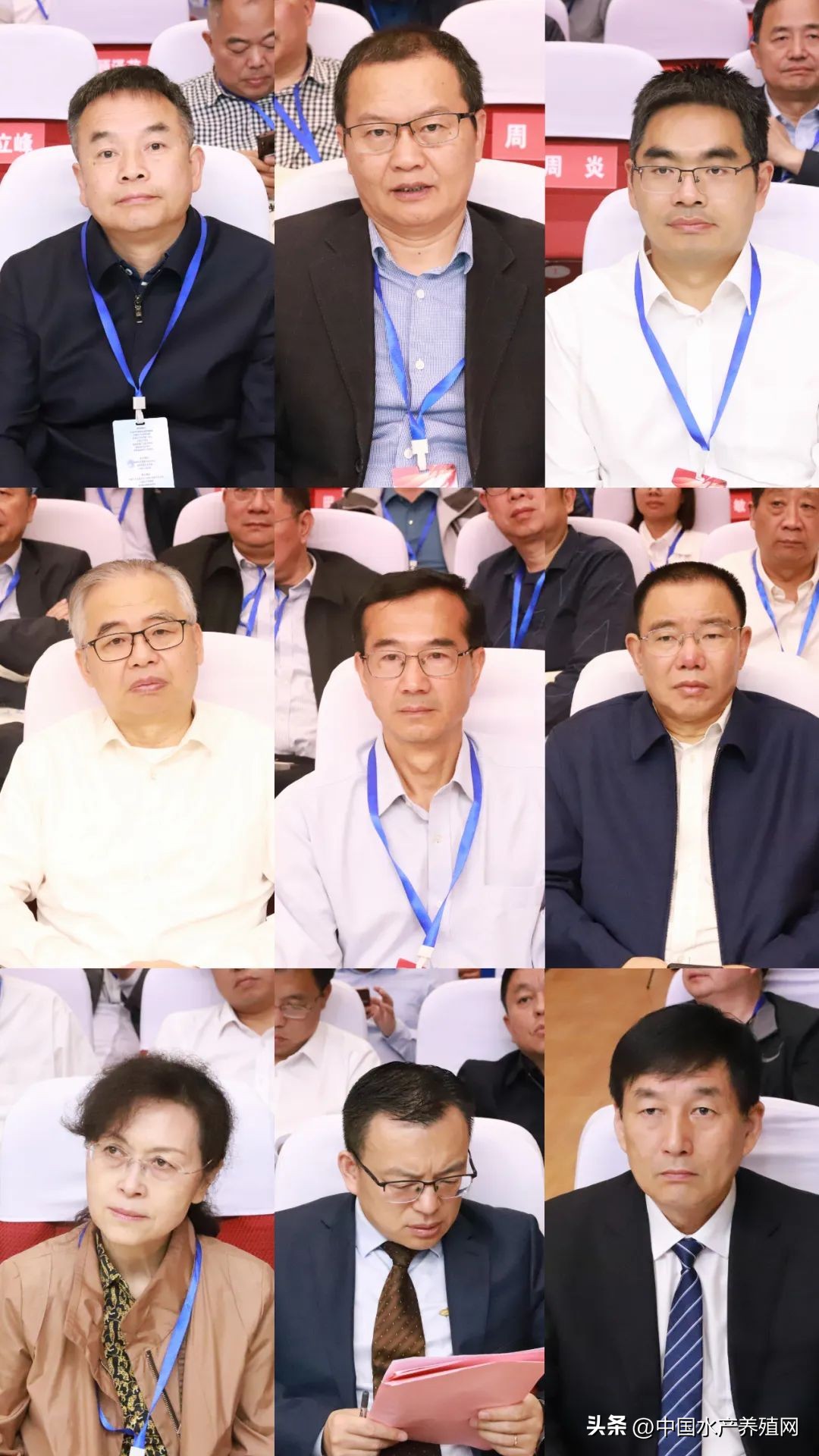 2023年南县小龙虾价格行情,南县小龙虾价格报价