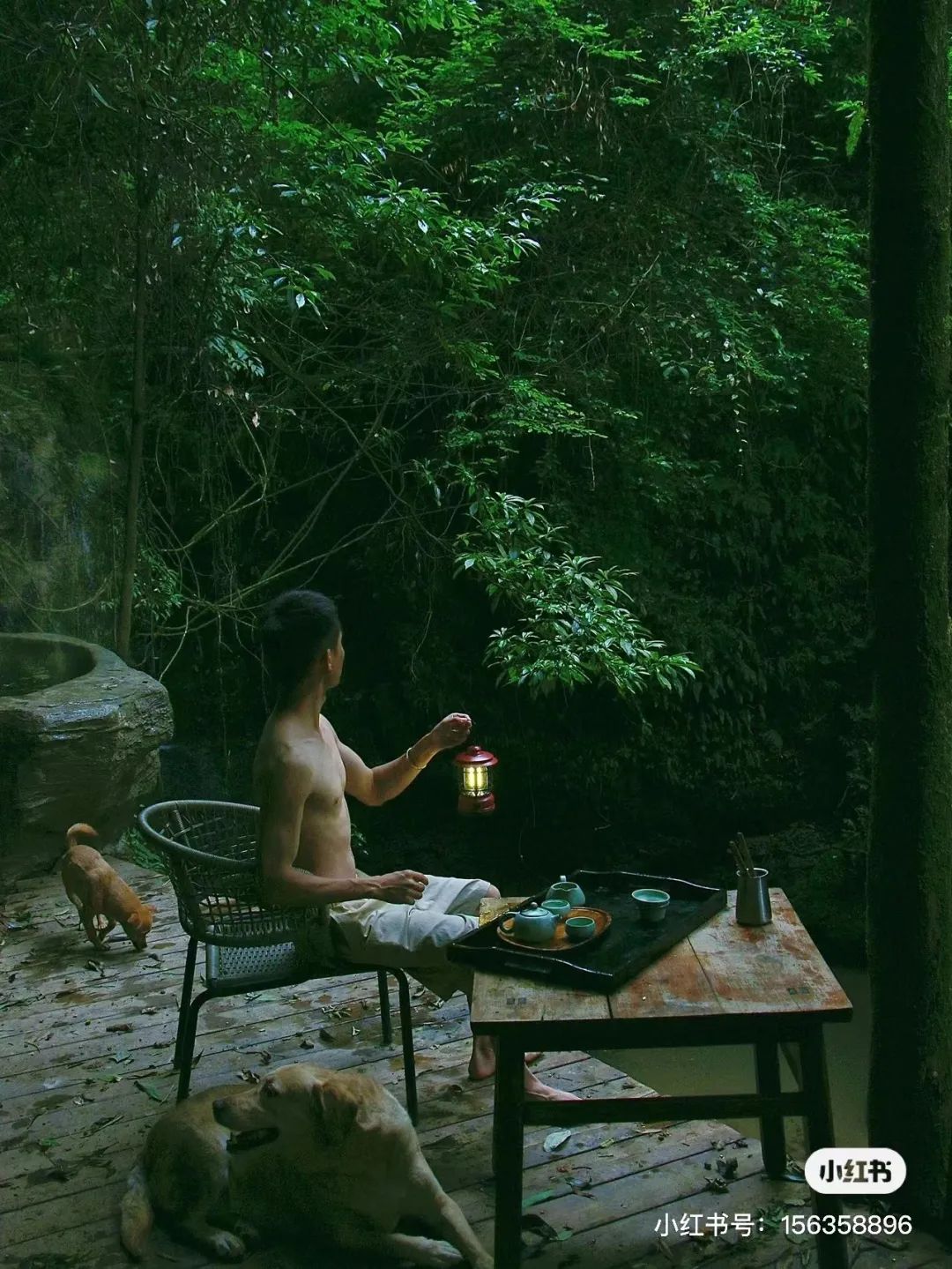 躲进山里民宿,躲在深山老林的民宿