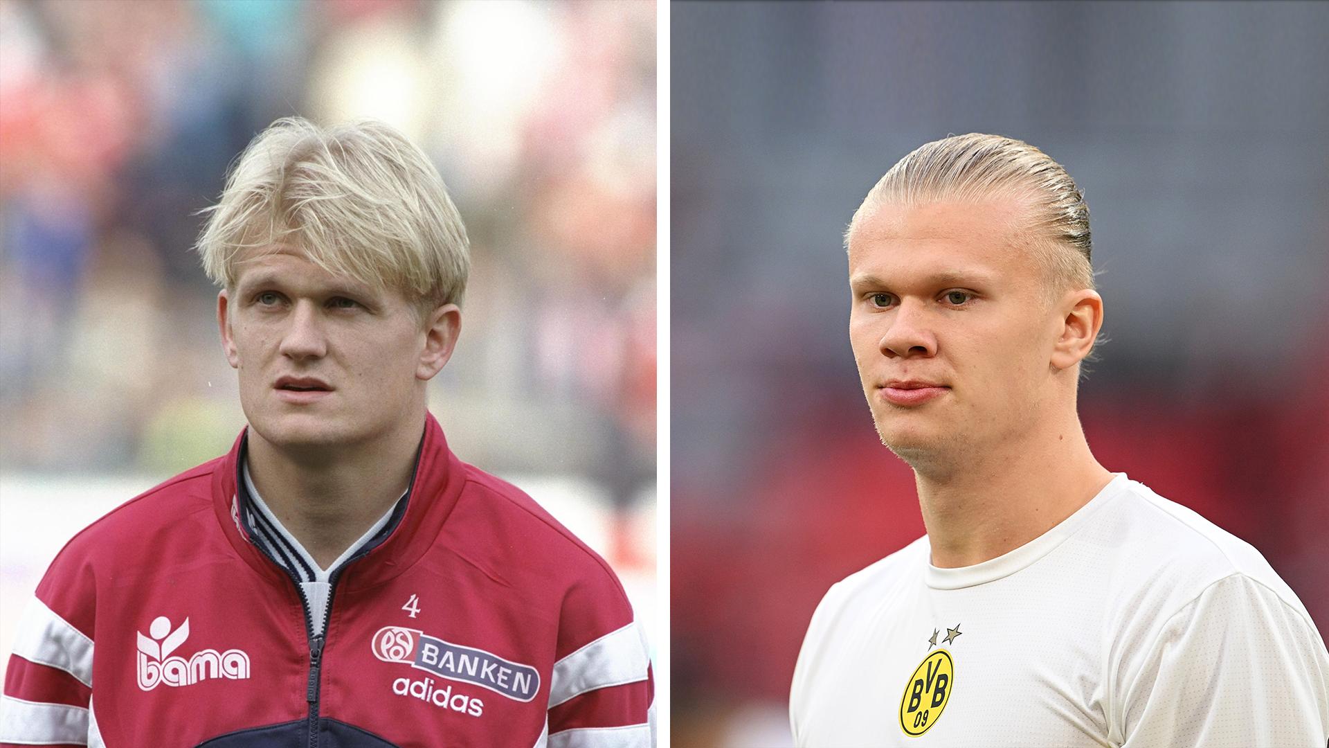 哈兰德基本知识,哈兰德的秘密