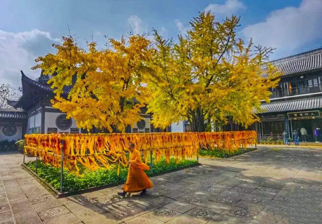 上海真如寺简介,上海真如寺方丈