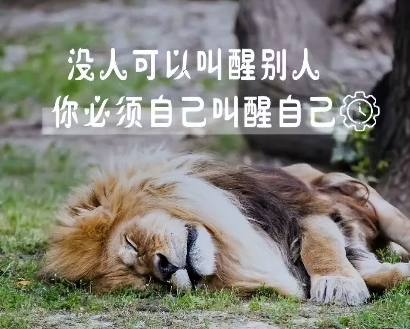 早安的句子跟图片朋友圈正能量,早安正能量的短句子心语图片大全