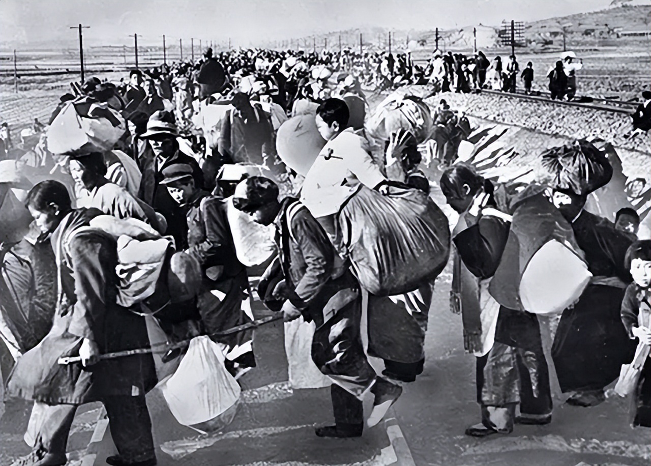 陈子美是怎么去世的,陈独秀之女陈子美