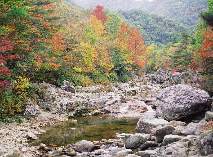 如何给孩子们讲解秋分,今日秋分要注意什么