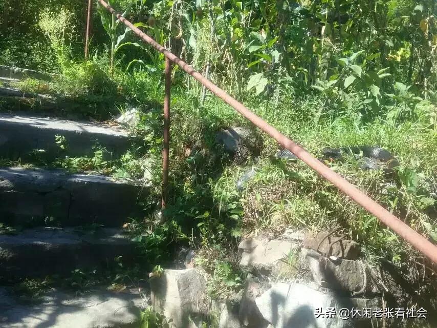 山村生活直播,山村生活的歌曲