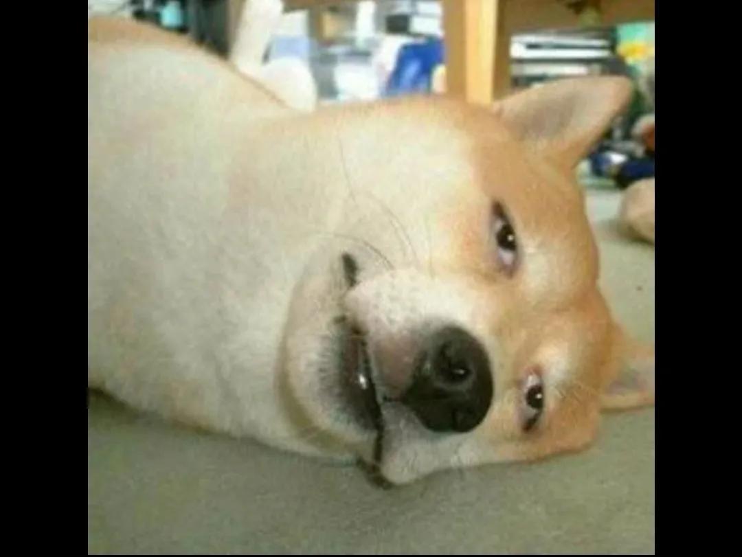 如何解读未经授权不得剪辑影视剧,短视频未经授权不得剪辑影视剧