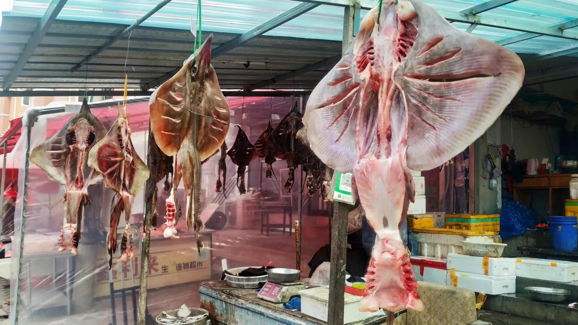 五种便宜人工不能养殖的鱼 (买什么鱼不能人工养殖)