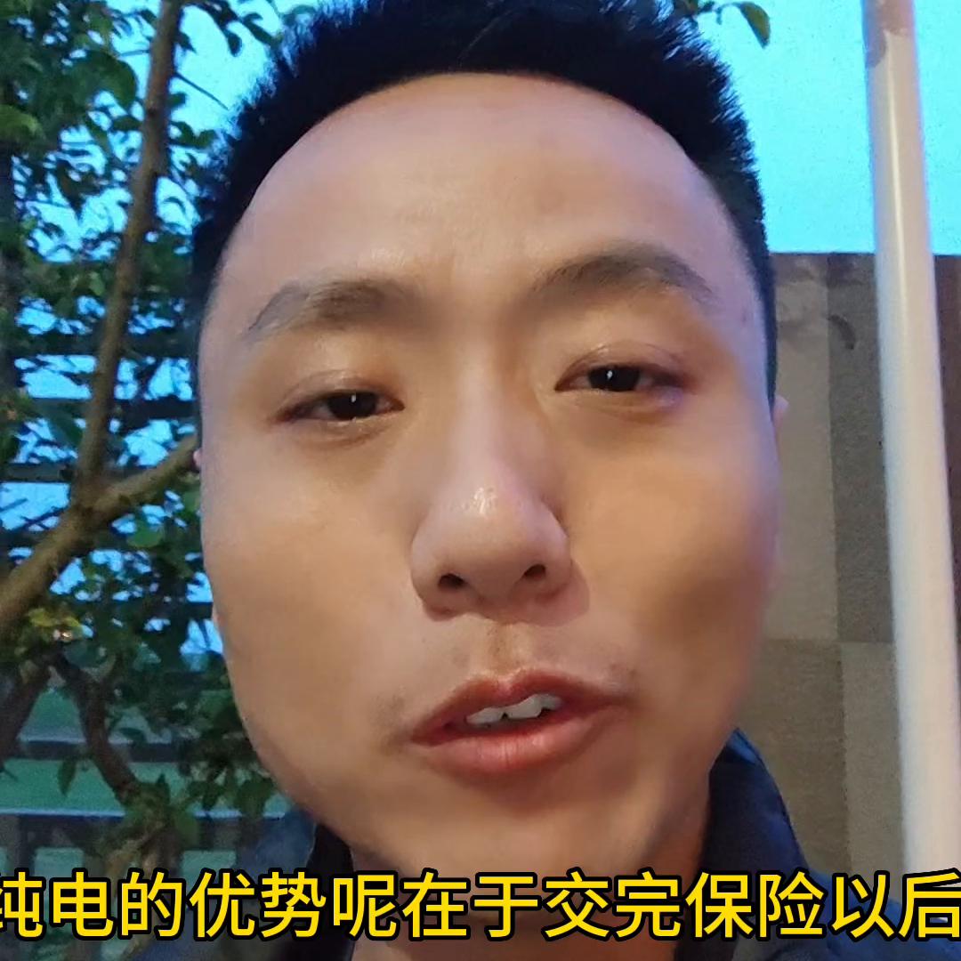 首次购买新能源车,首次买新能源车要什么手续