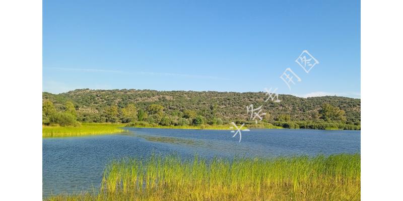 “姐，妈住院了，给5万”“你啥时候换妈了？我陪我妈逛街呢”