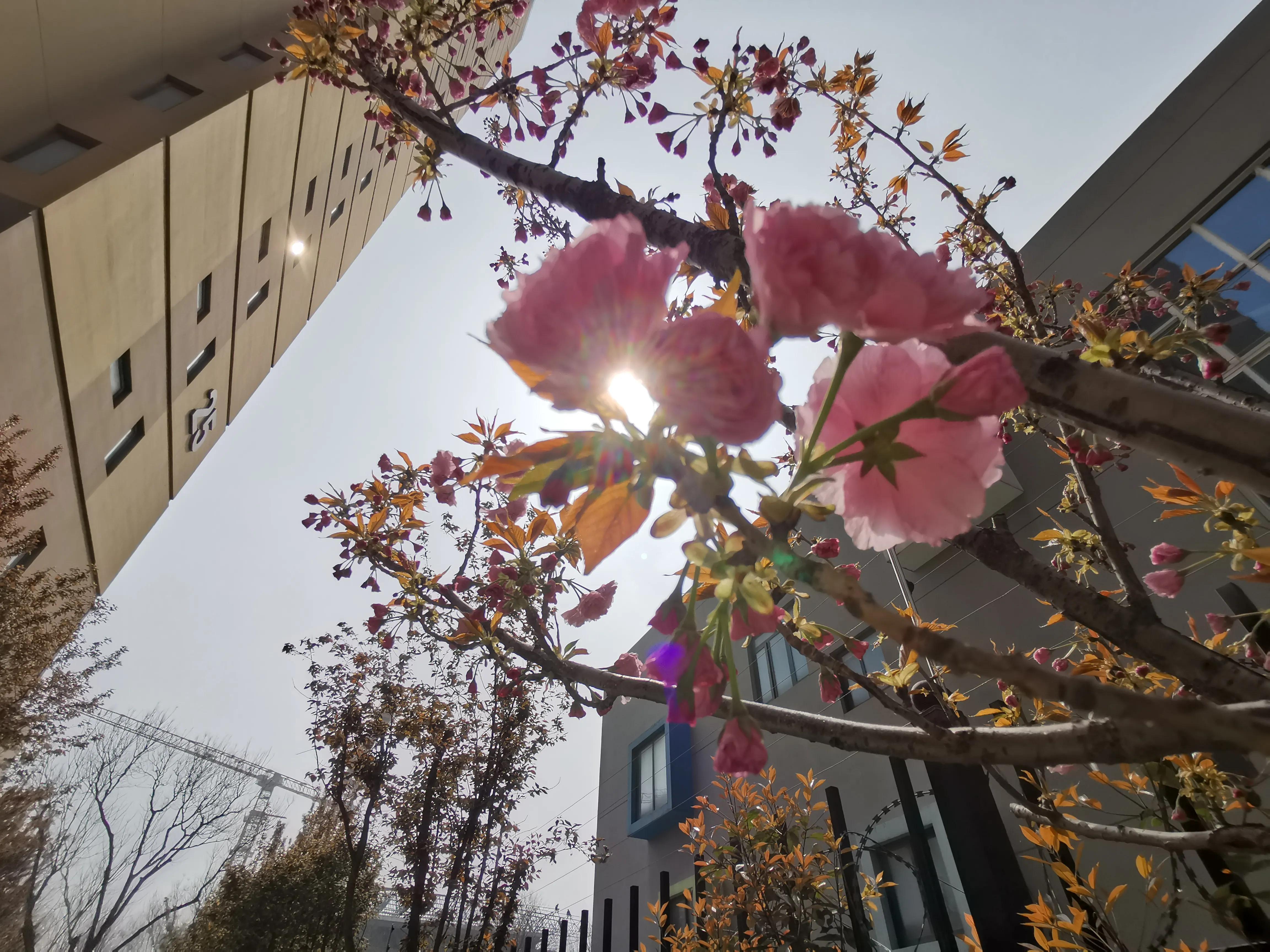 什么叫幸福什么叫真爱,什么叫幸福豫剧原唱