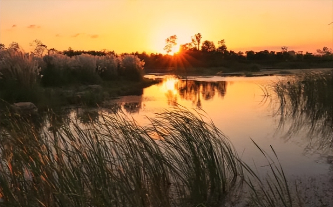 七律诗排行榜第一名,七律排名第一的诗