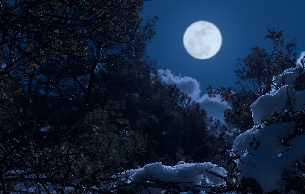明月如霜好风如水清景无限赏析,明月如霜好风如水清景无限出处