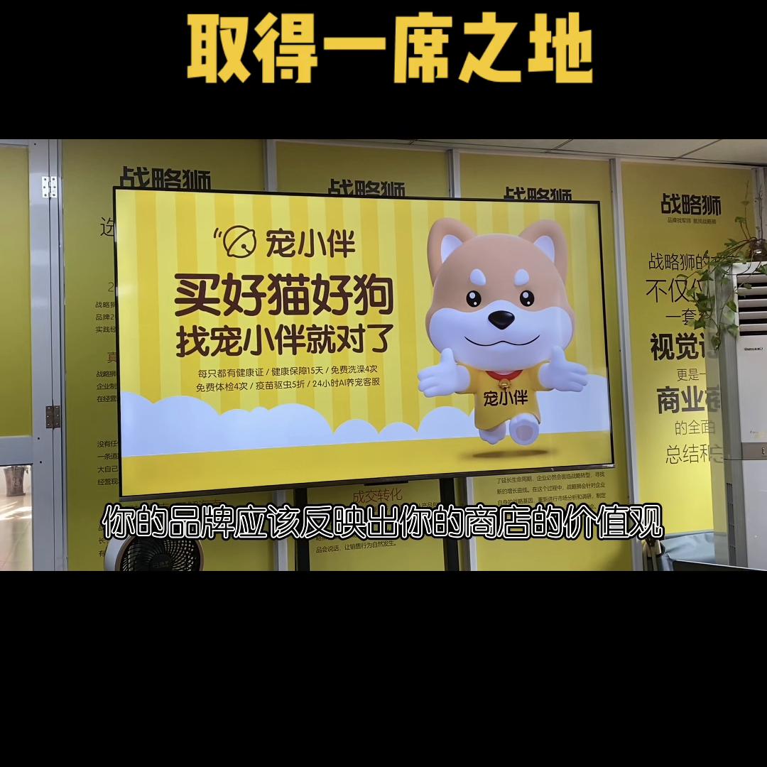 宠物店怎么和其他宠物店合作,宠物店怎么跟宠物医院竞争