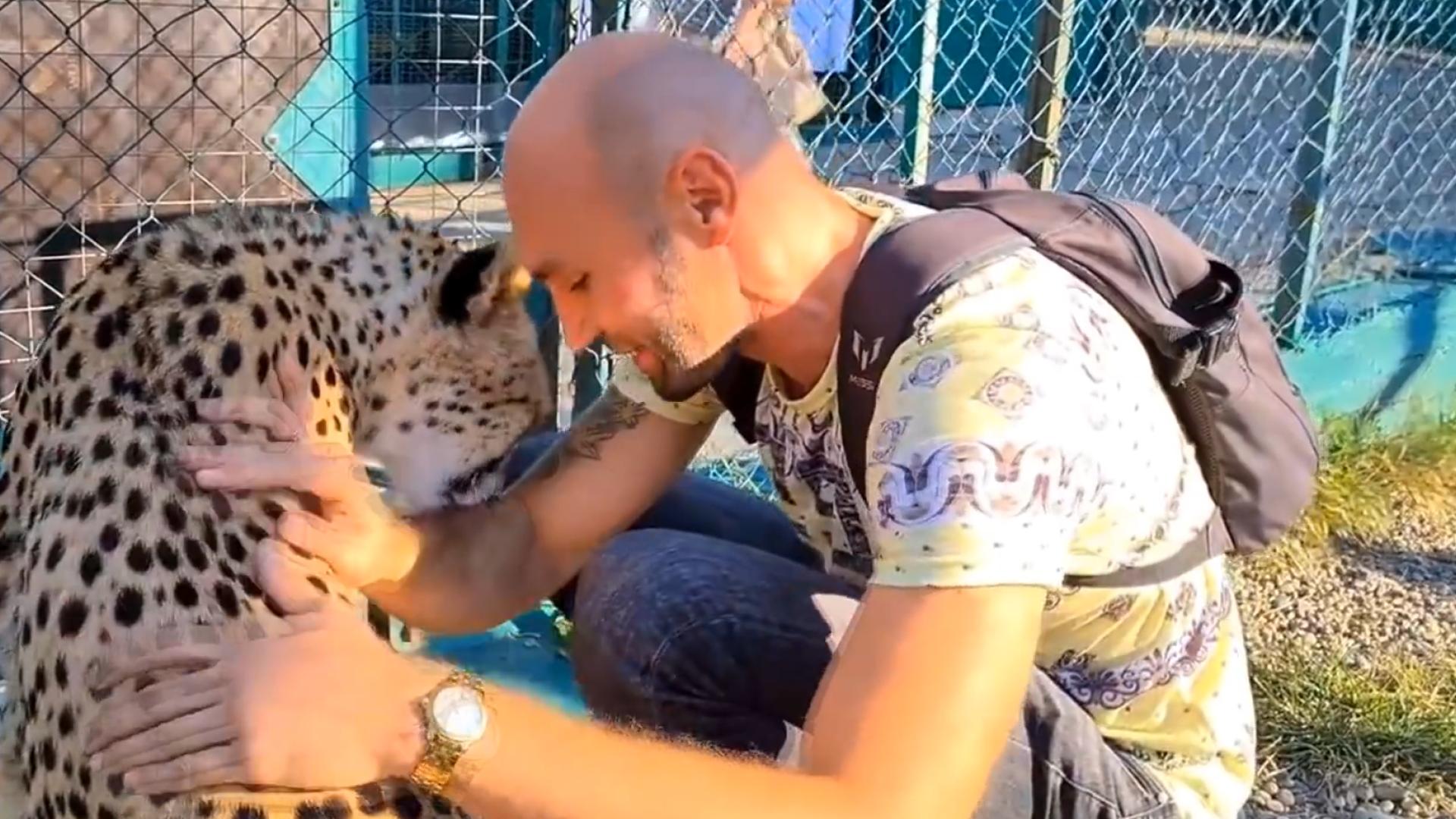 猎豹可以打过人类吗,如果在野外遇到猎豹怎么办